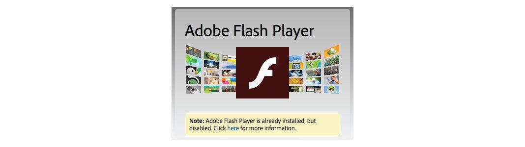 Flash player installed but disabled